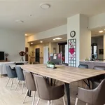 Rent 1 bedroom apartment in RUPELMONDE