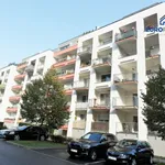 Rent 3 bedroom apartment in Capital City of Prague