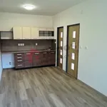 Pronájem bytu 2+1 54m²