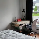  appartement avec 7 chambre(s) en location à Sherbrooke