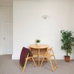 Rent 1 bedroom flat in Newport