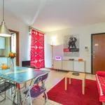 Rent 1 bedroom apartment of 55 m² in turin