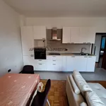 Rent 3 bedroom apartment of 65 m² in Forlì-Cesena