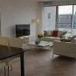 Rent 2 bedroom apartment of 120 m² in Amsterdam