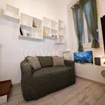 Rent 2 bedroom apartment of 45 m² in Milano