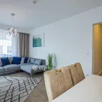 Rent 3 bedroom apartment in Budapest