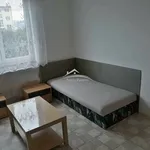 Rent 1 bedroom house in Pelhřimov