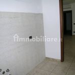 Rent 2 bedroom apartment of 60 m² in Novara