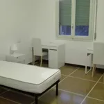 Rent a room in Bologna