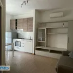 Rent 2 bedroom apartment of 47 m² in Milan