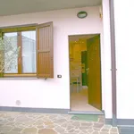 Rent 1 bedroom apartment of 55 m² in medolago