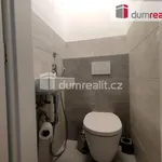 Rent 3 bedroom apartment of 63 m² in Fryšták