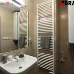 Rent 1 bedroom apartment of 31 m² in Brno