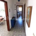 Rent 4 bedroom apartment of 105 m² in Ragusa