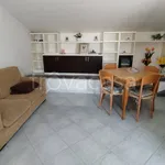 Rent 2 bedroom apartment of 50 m² in Cassino