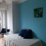 Rent 3 bedroom apartment of 80 m² in Turin