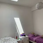 Affitto 2 camera appartamento di 45 m² in Bologna