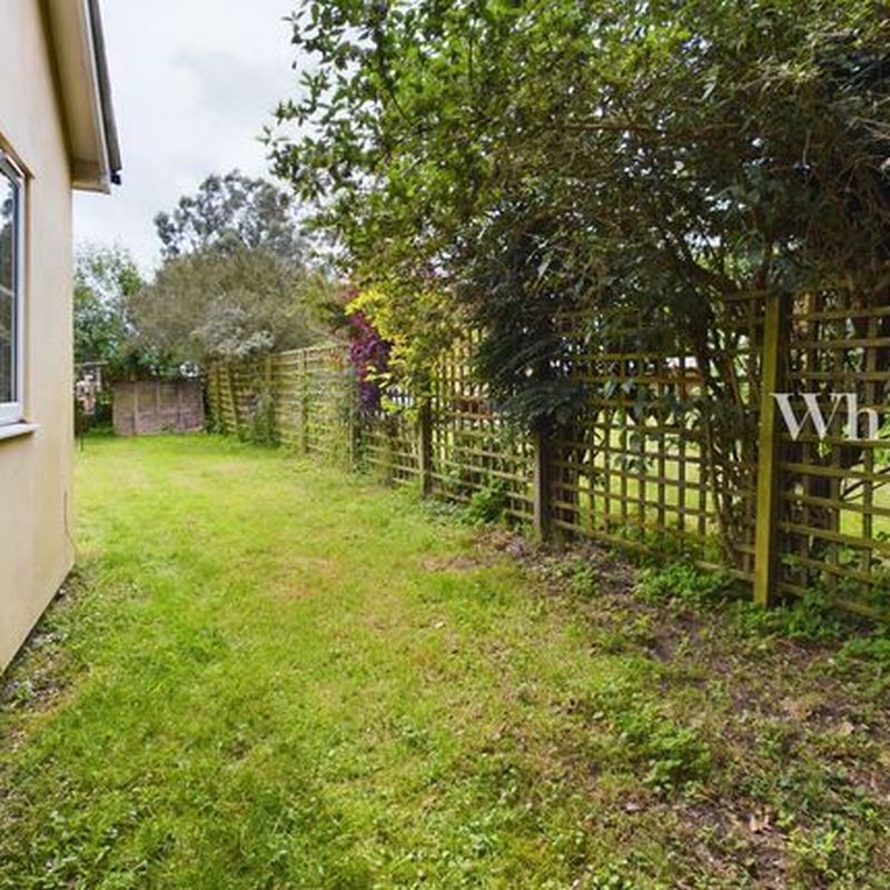 Detached bungalow to rent in Eccles, Norwich NR16 Great Green