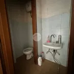 Rent 1 bedroom apartment of 55 m² in Roma