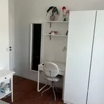 Rent a room in lisbon