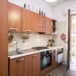 Rent 6 bedroom apartment in Rome