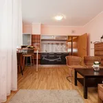 Rent 1 bedroom apartment of 32 m² in Ostrava