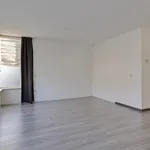 Rent 2 bedroom house of 133 m² in Oostmolenpark