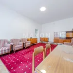 Rent 2 bedroom apartment of 62 m² in Warszawa