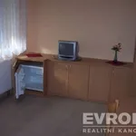 Rent 1 bedroom apartment of 20 m² in Hradec Králové