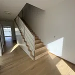 Rent 4 bedroom apartment of 150 m² in Weiz