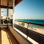 Rent 4 bedroom apartment in Alicante