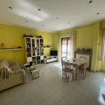 Rent 2 bedroom apartment of 70 m² in Roma