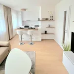 Pronajměte si 1 ložnic/e byt o rozloze 37 m² v Prague