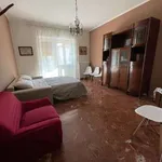 Appartamento arredato con terrazzo Centro