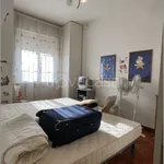 Rent 3 bedroom house of 100 m² in Pisa