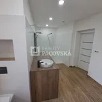 Pronajměte si 1 ložnic/e byt o rozloze 250 m² v Ústí nad Labem