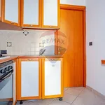 Rent 2 bedroom apartment of 40 m² in Catania