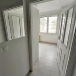 Rent 1 bedroom apartment of 39 m² in hradec