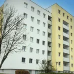 Rent 2 bedroom apartment of 62 m² in Wiener Neustadt