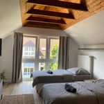 Rent 1 bedroom apartment of 46 m² in Hanover