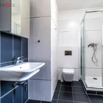 Rent 1 bedroom apartment of 42 m² in Praha