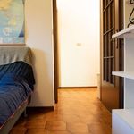 Rent a room of 75 m² in Bologna