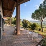 Single-family detached house via Silvio Pellico,, Centro, Peccioli