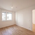 Rent 2 bedroom apartment of 44 m² in Vienna