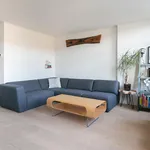 Rent 2 bedroom apartment of 61 m² in Utrecht