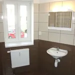 Rent 2 bedroom apartment of 50 m² in Ústí nad Labem