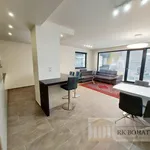 Rent 3 bedroom apartment of 97 m² in Prague