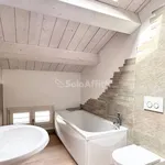 Rent 5 bedroom apartment of 100 m² in Faenza