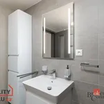 Rent 1 bedroom apartment of 35 m² in Pilsen