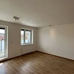 Pronajměte si 3 ložnic/e byt o rozloze 69 m² v České Budějovice